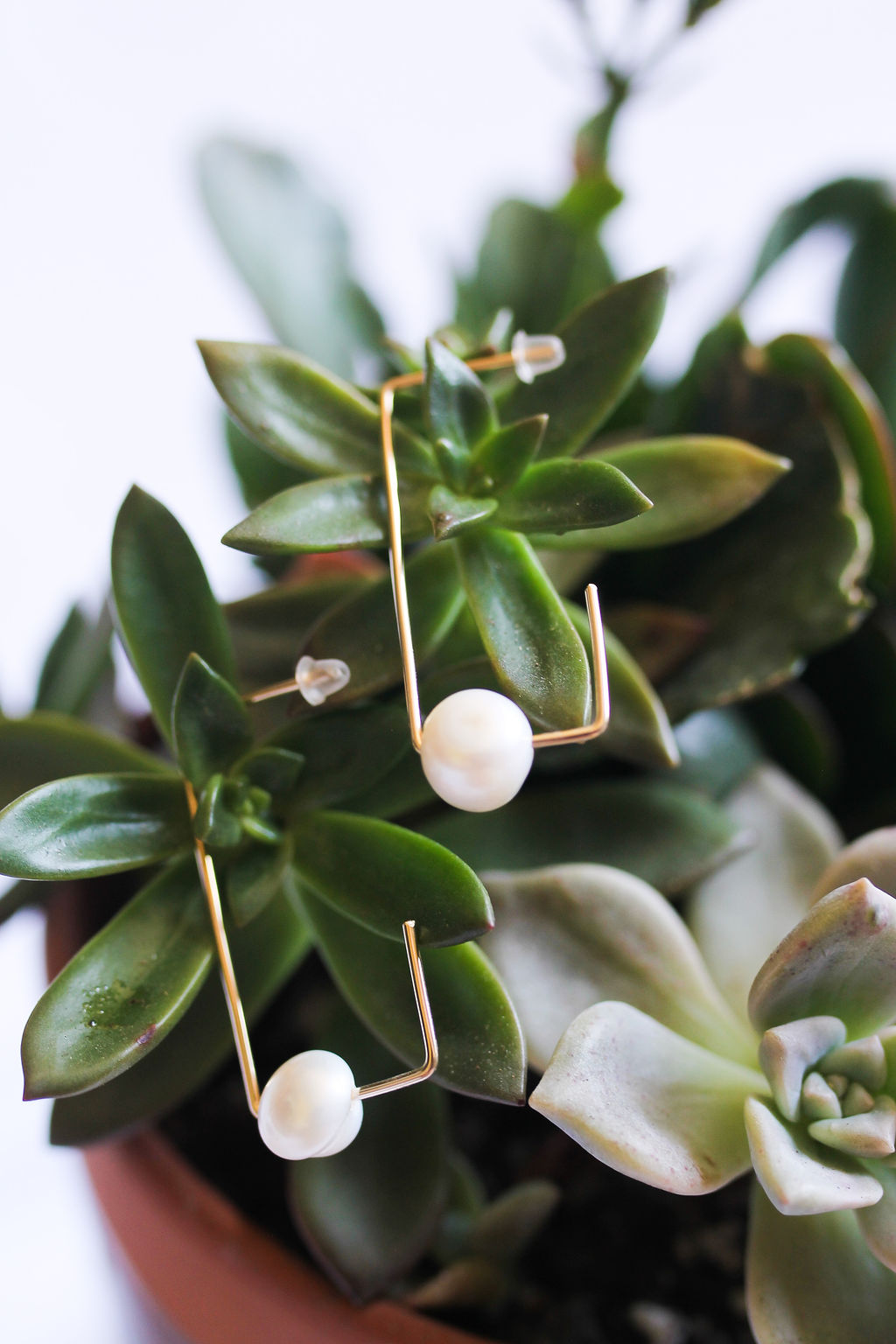 For Her Fresh Water Pearl Earrings